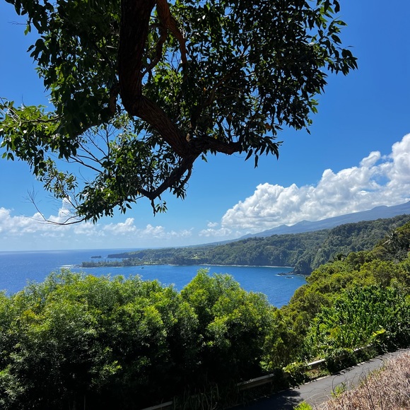 Meet your Posher, Elsa - Picture 1 of 1